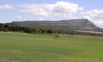 Castilla-La Mancha autoriza la construcción de una granja de cerdos cerca del Monte Arabí Castilla-La Mancha autoriza la construcción de una granja de cerdos cerca del Monte Arabí