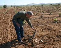 La crisis acaba con el 20% de los agricultores murcianos