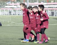 Los vinotinto siguen en plena forma