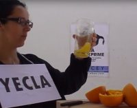 El PSOE recuerda a Lajara su pasado por Alcey y el “Murcia nos exprime”
