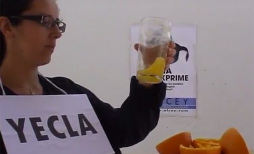 El PSOE recuerda a Lajara su pasado por Alcey y el “Murcia nos exprime”