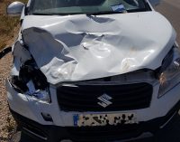 Atropellan a un burro en la carretera de Fuente Álamo