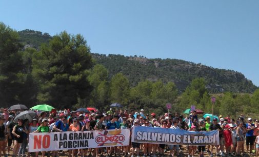Carta abierta al señor Fuertes, por Antonio M. Díaz Francés
