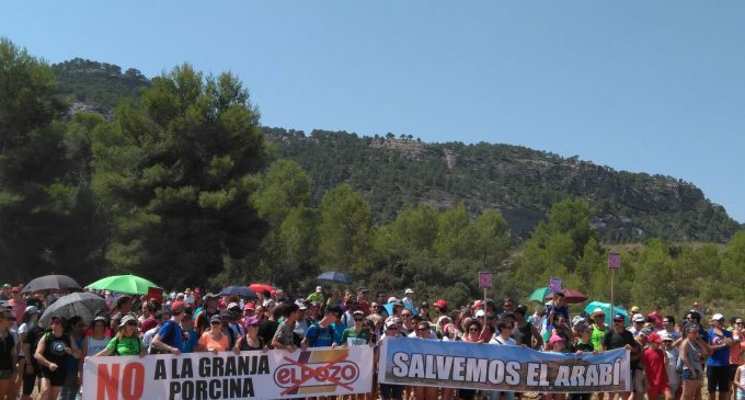 Carta abierta al señor Fuertes, por Antonio M. Díaz Francés