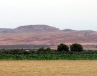 Anida anuncia que hay dos proyectos de granjas porcinas en Las Moratillas
