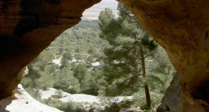 Ciudadanos no cree que la solución sea construir la granja más alejada del Arabí