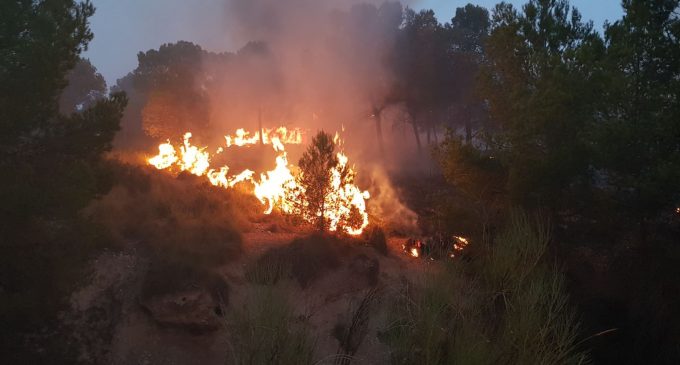 Controlado el incendio declarado en la sierra de Tobarrillas