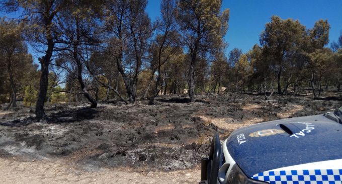 El incendio de Tobarrillas calcina 1,6 hectáreas de pino y matorral