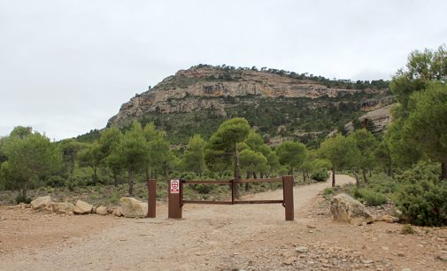La Asamblea Regional debatirá la puesta en marcha de un Plan de gestión para el Monte Arabí